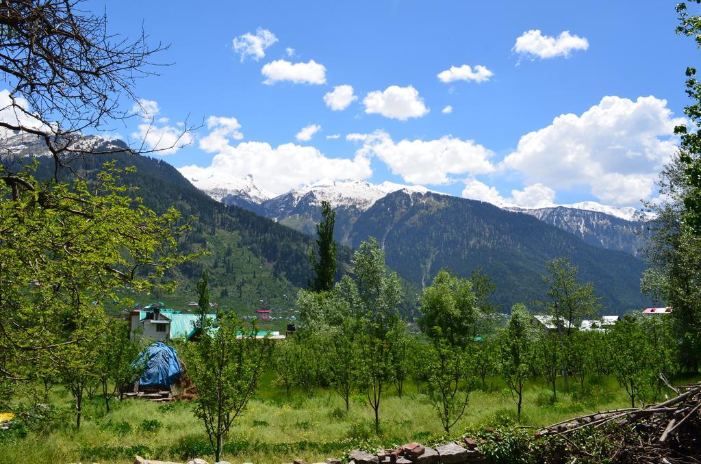 Gezellig Inn - Tree Hill Cottages & Kanyal Villas Manāli Buitenkant foto